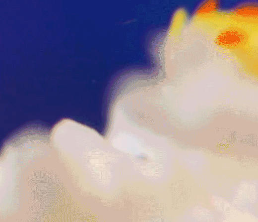 The First Gif Ever Made