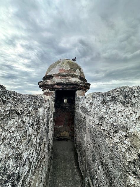 A gallery of our 2025 adventures