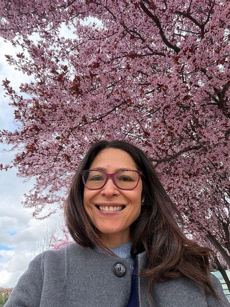 primavera luz belleza efímera Sakura 