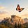 First Principles & Butterfly Effects