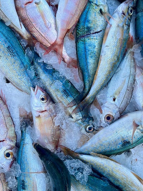 Top L-R: devouring an octopus panino, the original Ligurian focaccia, Marinda black pomodori, fresh caught sardines, Mar Ligure, fried anchovies with lemon heaven, colored-tile alimentari, fishing nets and boats on the public beach, duck face toast with my love