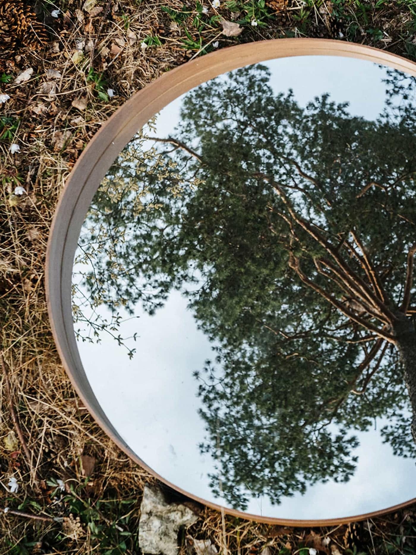 Discarded IKEA STOCKHOLM mirror with reflection of trees.