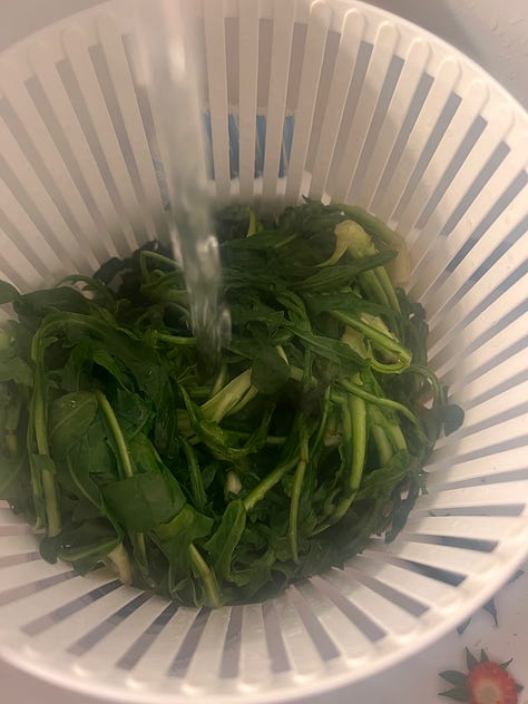 Stamnagathi Pickles