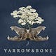 Yarrow & Bone