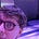 Matt Storrs's avatar