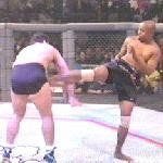 Marcus Bossett - USAdojo.com