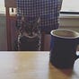 Tabby Thoughts's avatar