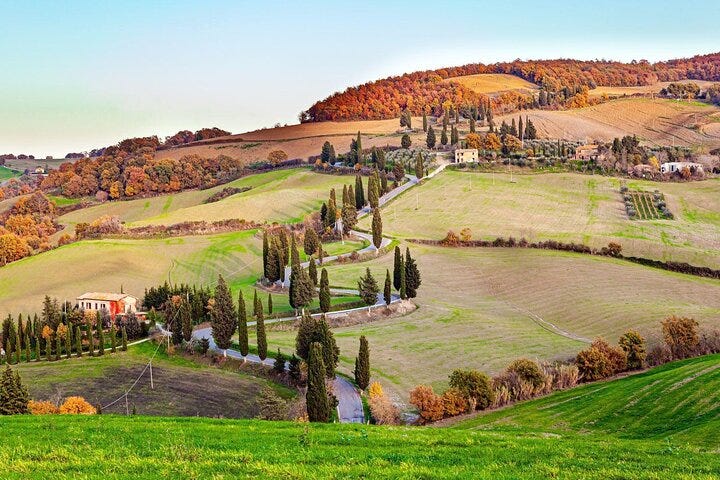 A view of the vineyards in Tuscany.