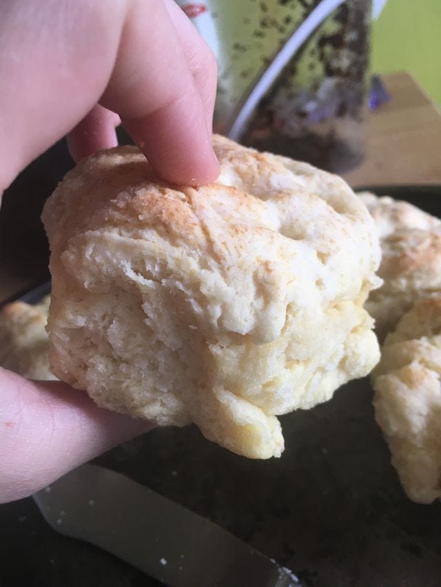 a picture of a biscuit a picture of a biscuit