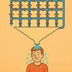 Scientists Discover a New Phase of Game Show!