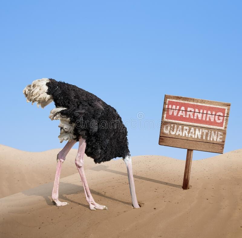 704 Ostrich Head Sand Photos - Free &amp; Royalty-Free Stock Photos from  Dreamstime