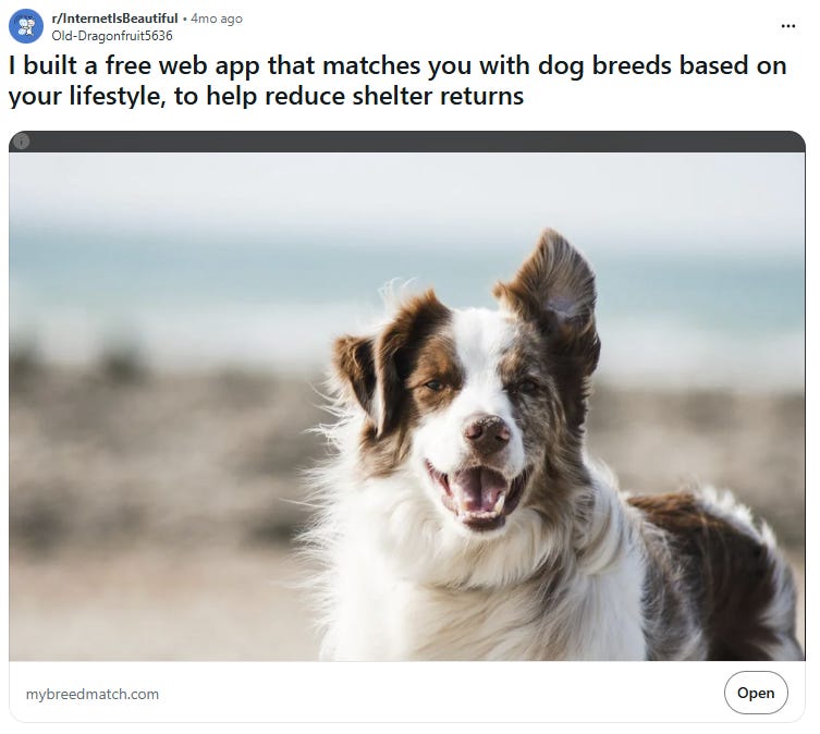 A Reddit post from r/InternetIsBeautiful featuring a dog breed matcher web app and a photo of a dog. A Reddit post from r/InternetIsBeautiful featuring a dog breed matcher web app and a photo of a dog.