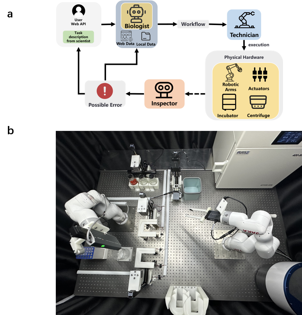 Embodied AI in Biotech: Why China Might Lead the Next Revolution