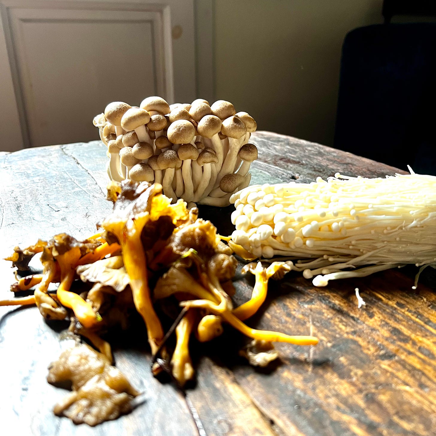 Una variedad de setas frescas sobre una mesa de madera rústica: a la izquierda, rebozuelos amarillos y marrones; en el centro, un grupo de enoki con sus características tapas diminutas y tallos largos; y a la derecha, un manojo de shimeji blancos.