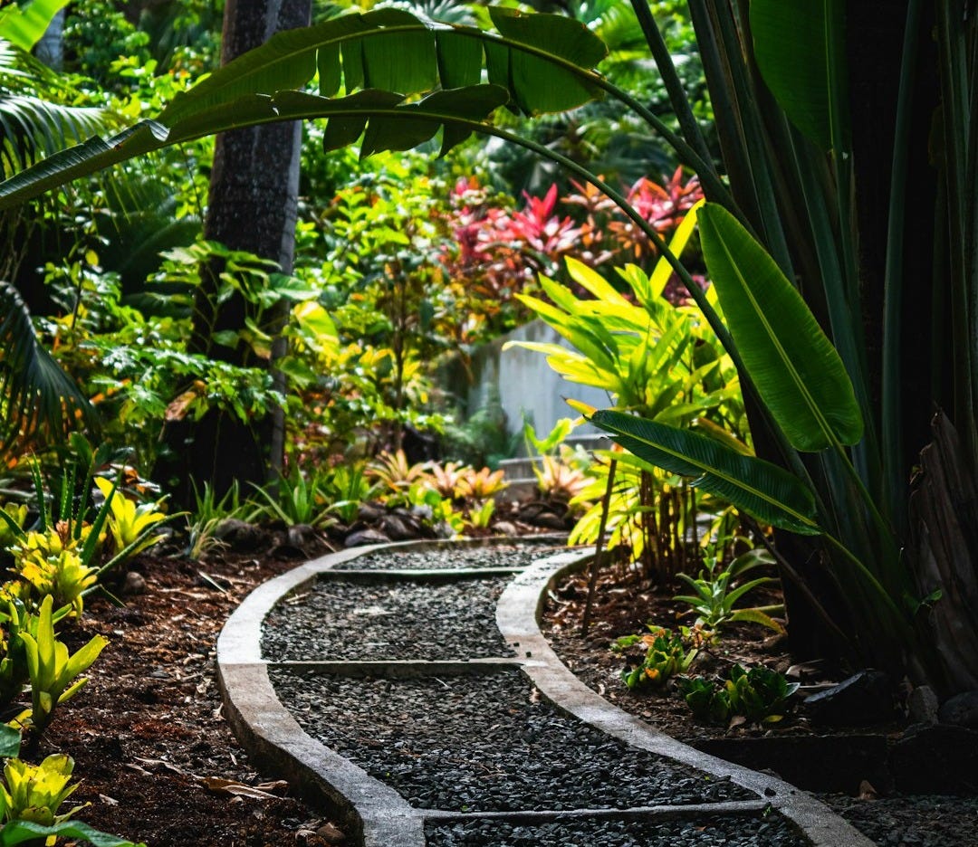 green plants and trees during daytime