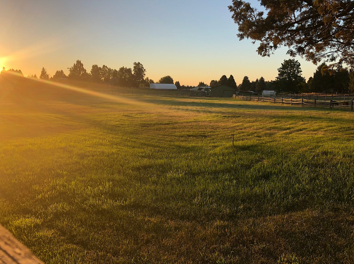Farm Land.png