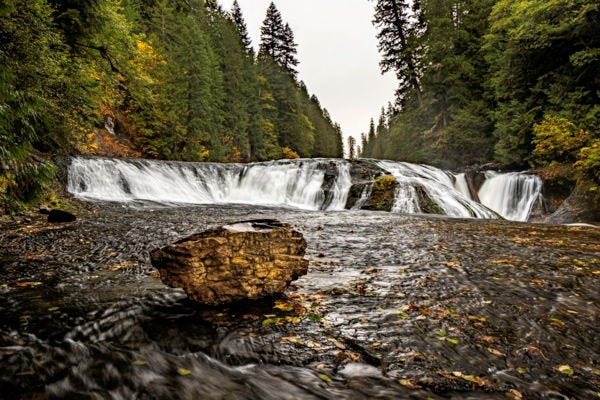 A waterfall in a forest