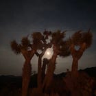 As Long As There’s Poetry, We Endure