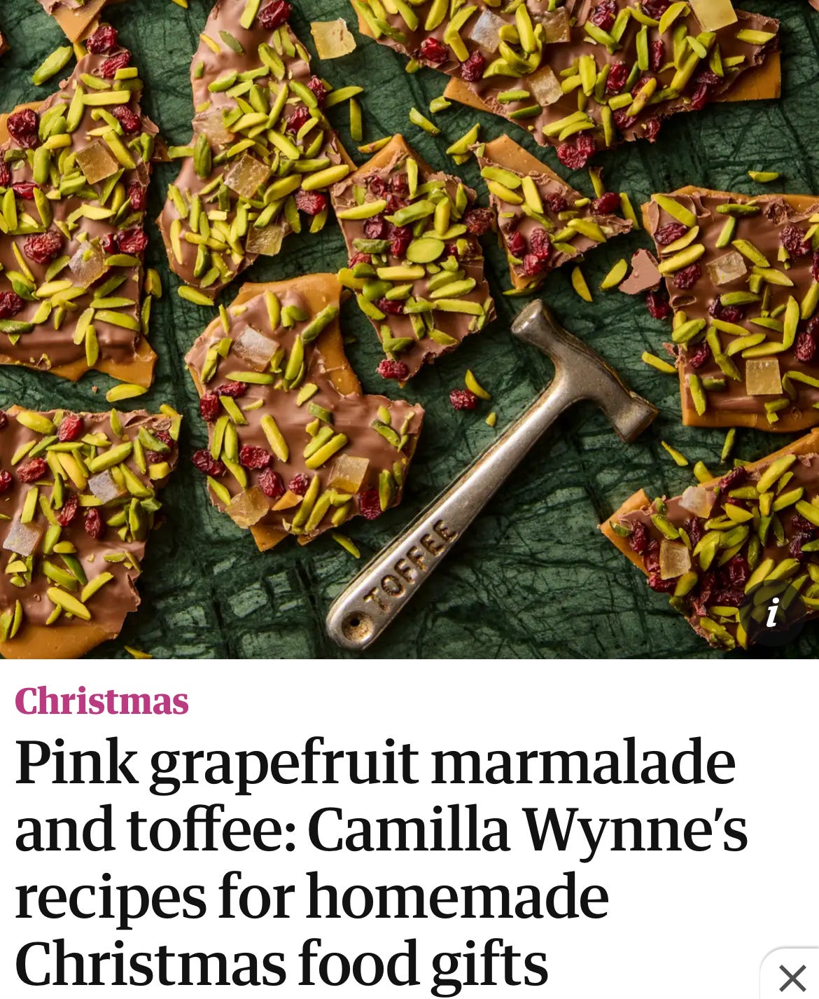 Fruitcake Marmalade - Camilla Wynne Missive