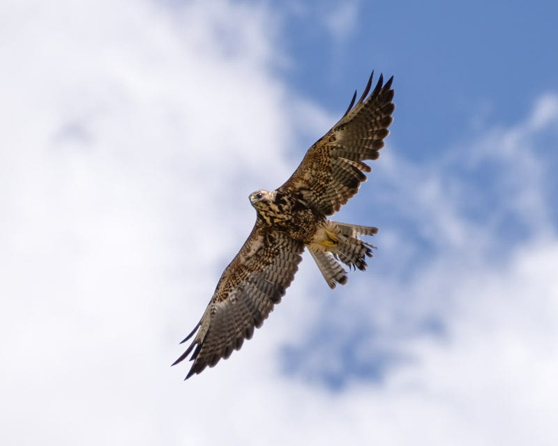 20250801-Manville-641-Edit.jpg 20250801-Manville-641-Edit.jpg