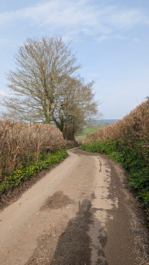 View of the rural Devon landscape