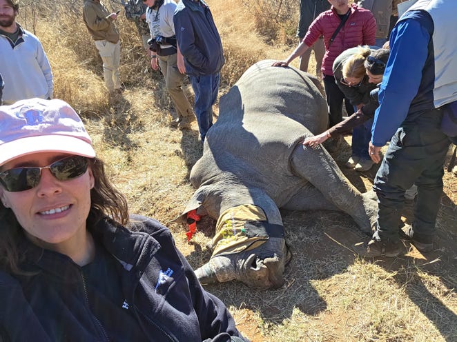 The Fate of the Chubby Unicorn