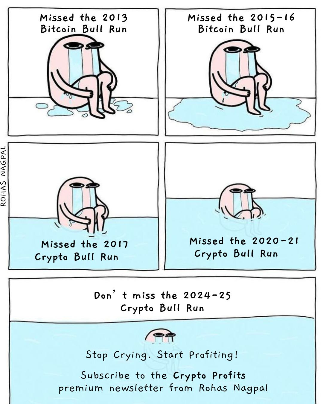 Everything You Need to Know About the Crypto Profits Premium Newsletter