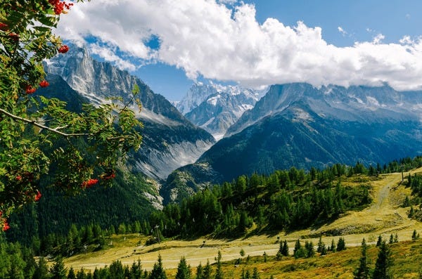 Image of craggy mountains and green hillside in the Chamonix Valley Image of craggy mountains and green hillside in the Chamonix Valley