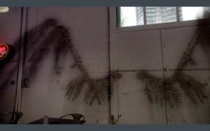 12-10-wings 12-10-wings