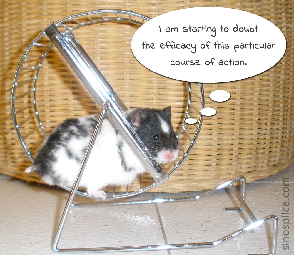 We Teach Humans, Not Content: Stepping off the Hamster Wheel ...