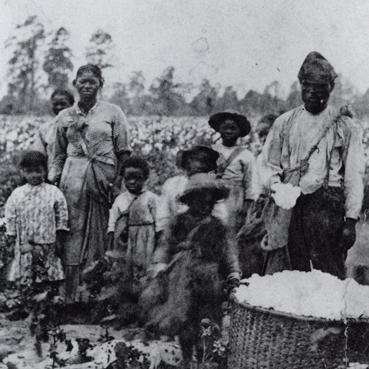 How America was built on slavery: Those roots can still be felt today | ASU News How America was built on slavery: Those roots can still be felt today | ASU News