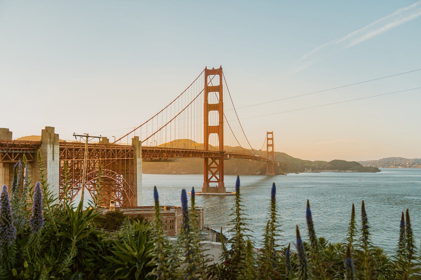 The Ultimate Local's Travel Guide to San Francisco — sarowly | sf +  california travel photographer