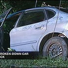 อาดัมยังไม่ตาย