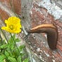 A Slugs Life's avatar