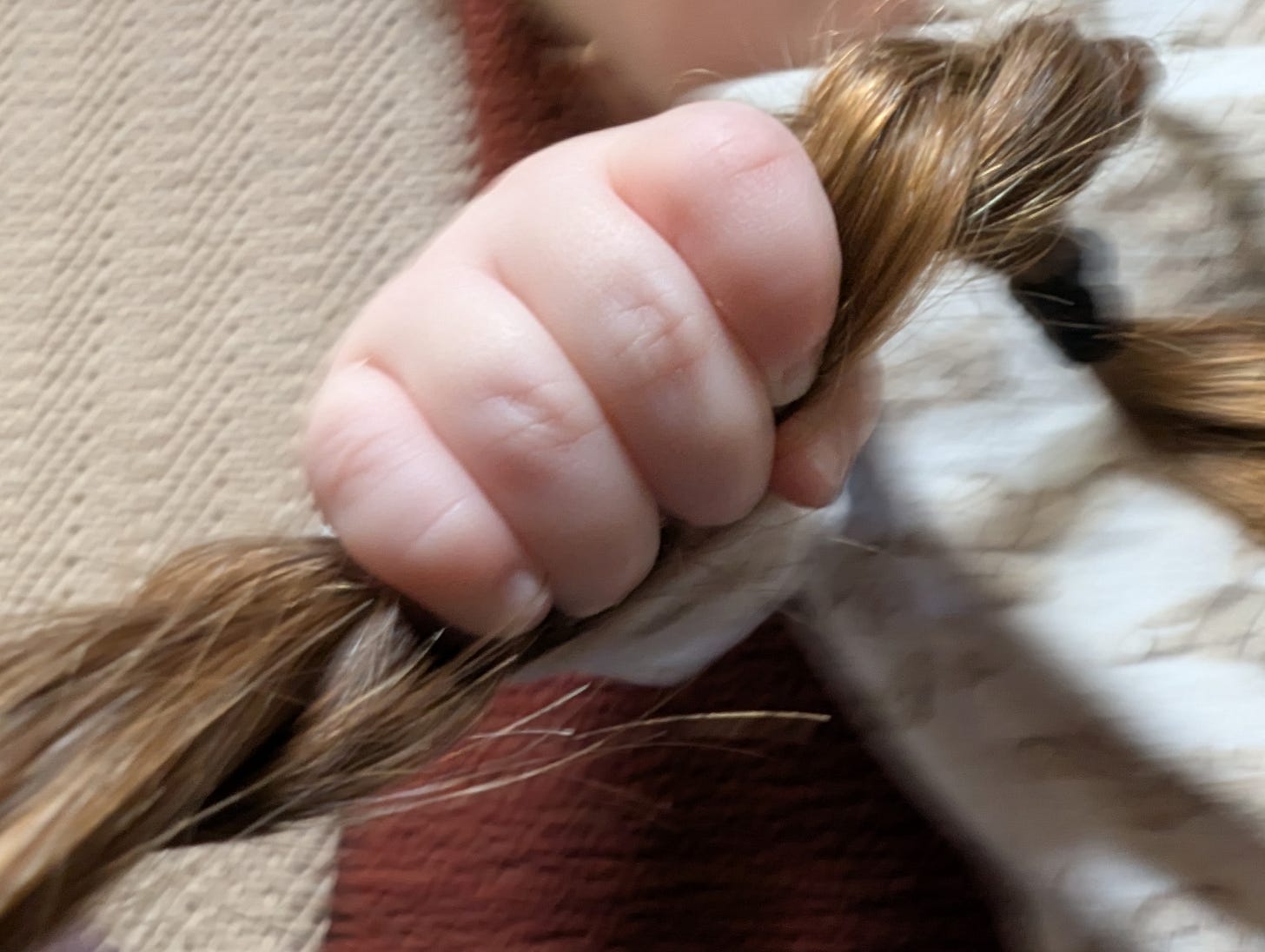 A baby's fist clenched tightly around a braid of hair