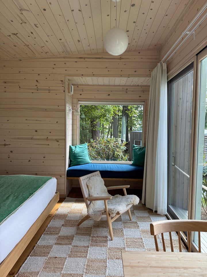Pine cabins on a lake.