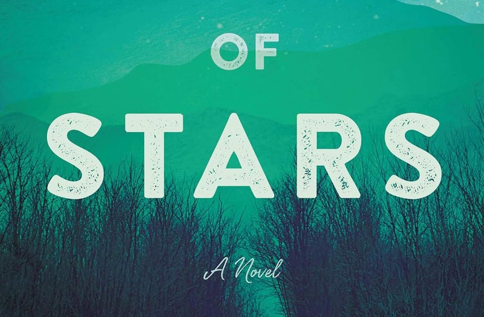 Chelsey's 2025 Fiction Summer Reading Guide