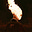 Fireplace's avatar