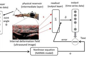 Information processing via human soft tissue