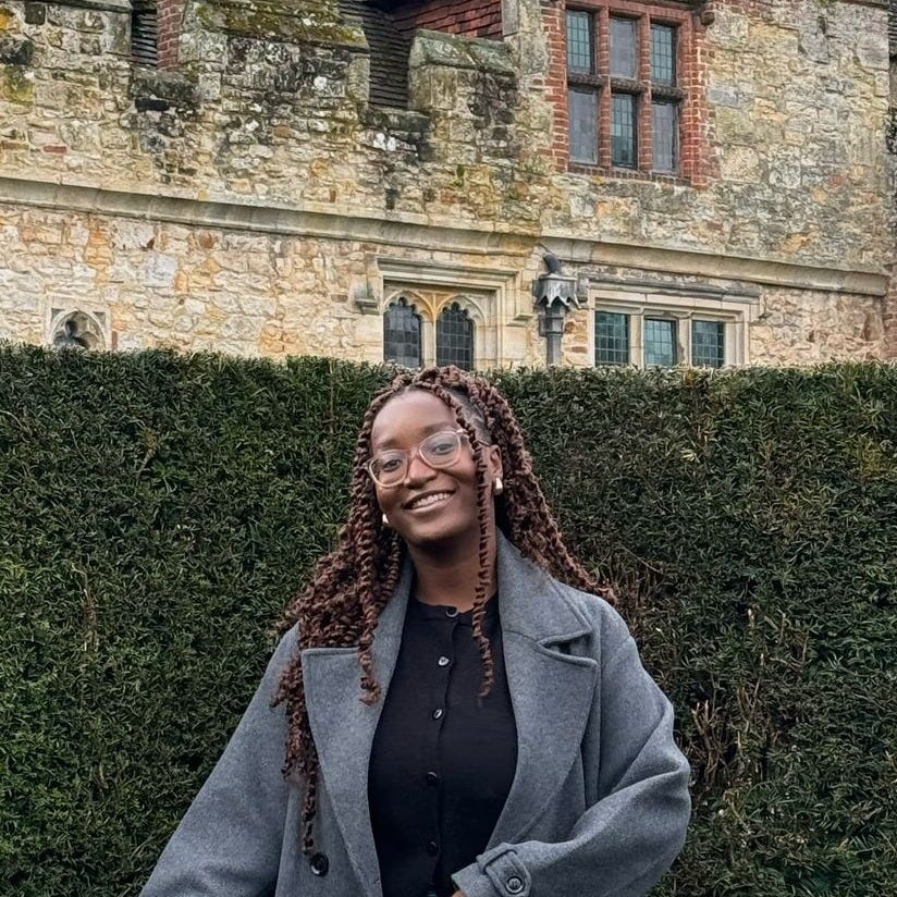 The Wannabe Historian