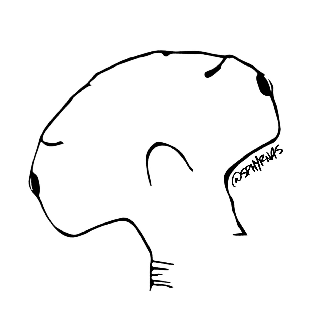 Sphyrnas