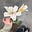 Chayma's avatar