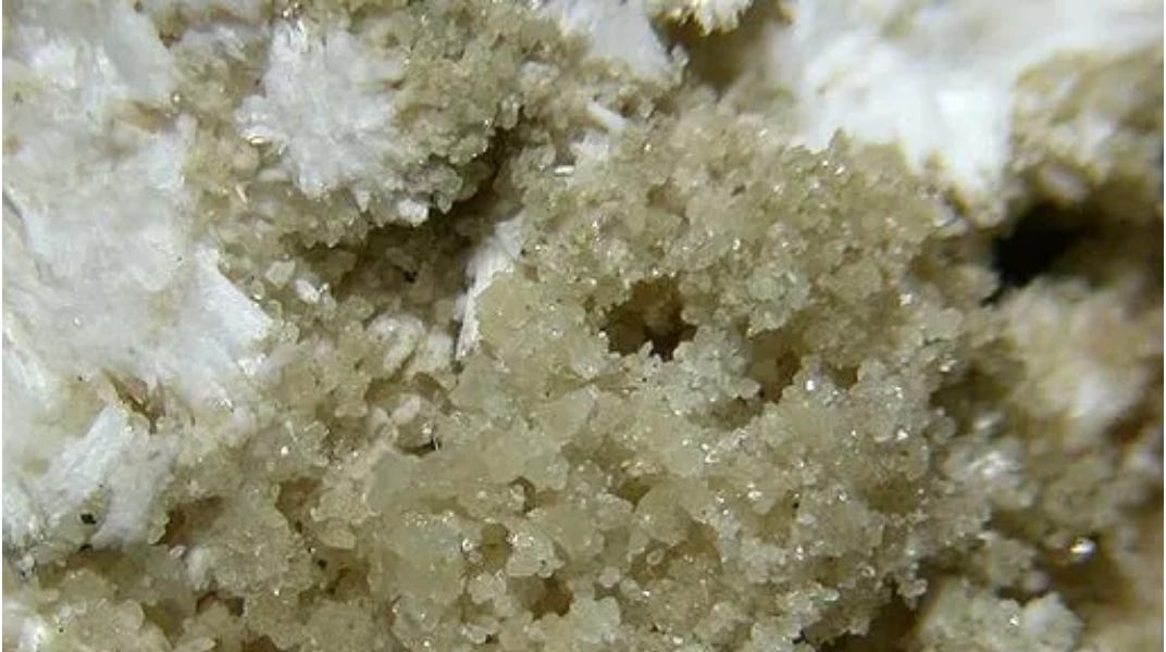 Vaccines and Adjuvants: Aluminum