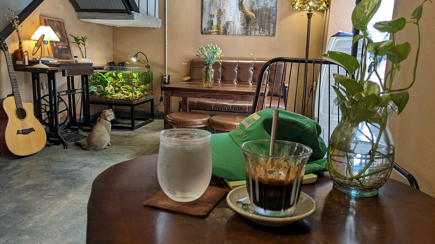 table of coffee and a cat and guitar
