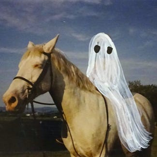 Poetry is not a luxury