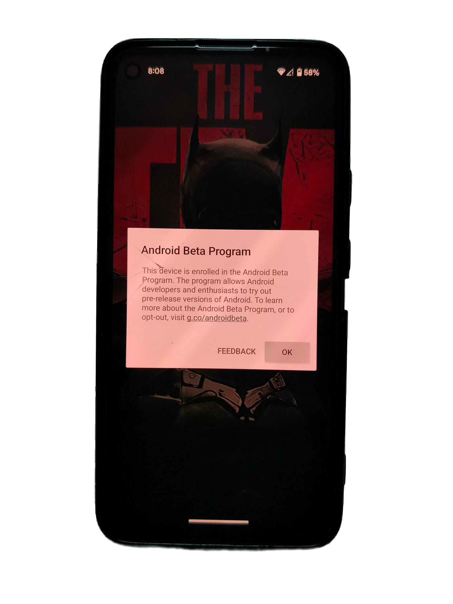 The feedback form popup. 