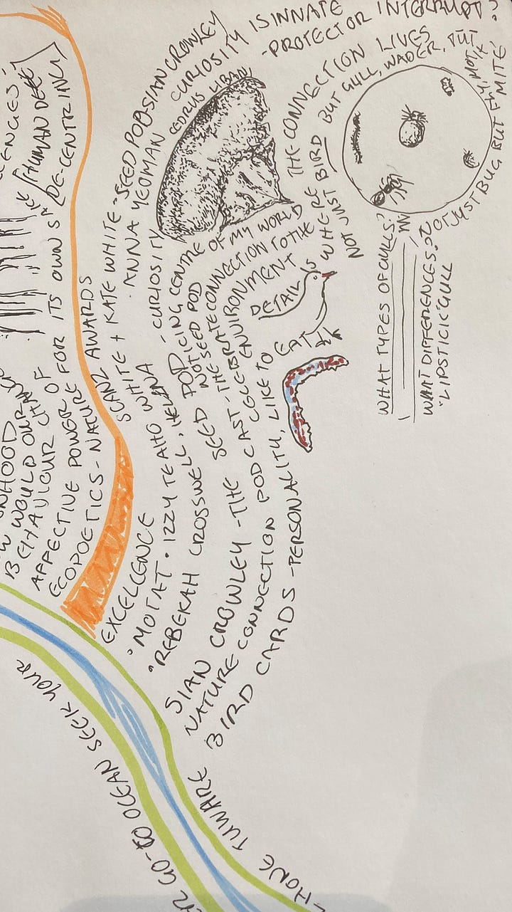 Images are described in the text.