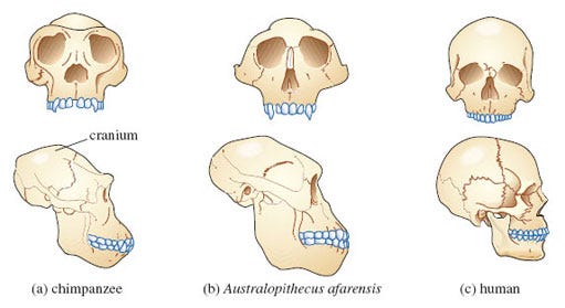 Figure 5 Figure 5