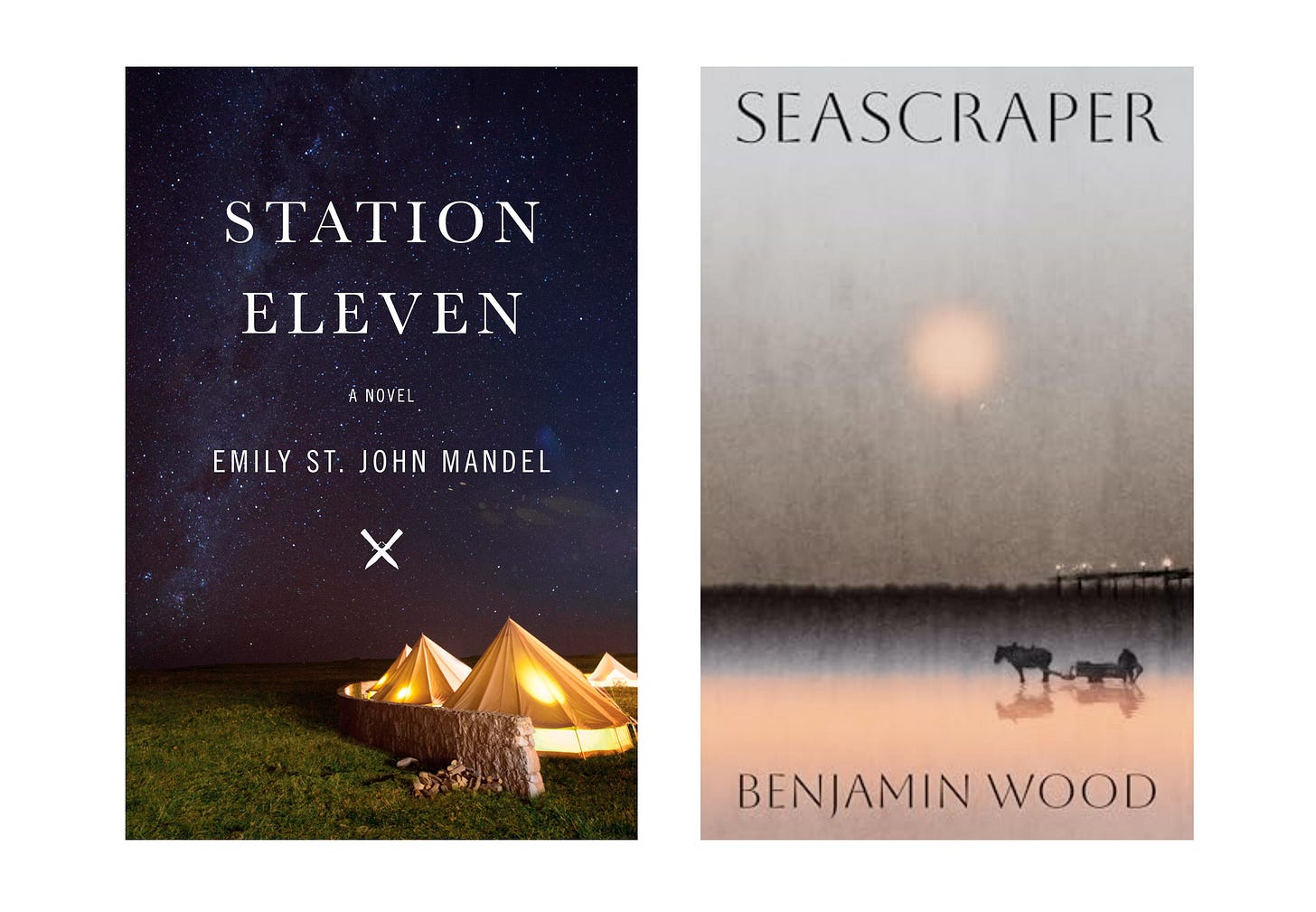 Book cover images for Station Eleven by Emily St. John Mandel and Seascraper by Benjamin Wood