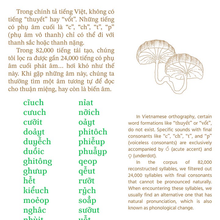 Vietnamese spoonerism and orthography